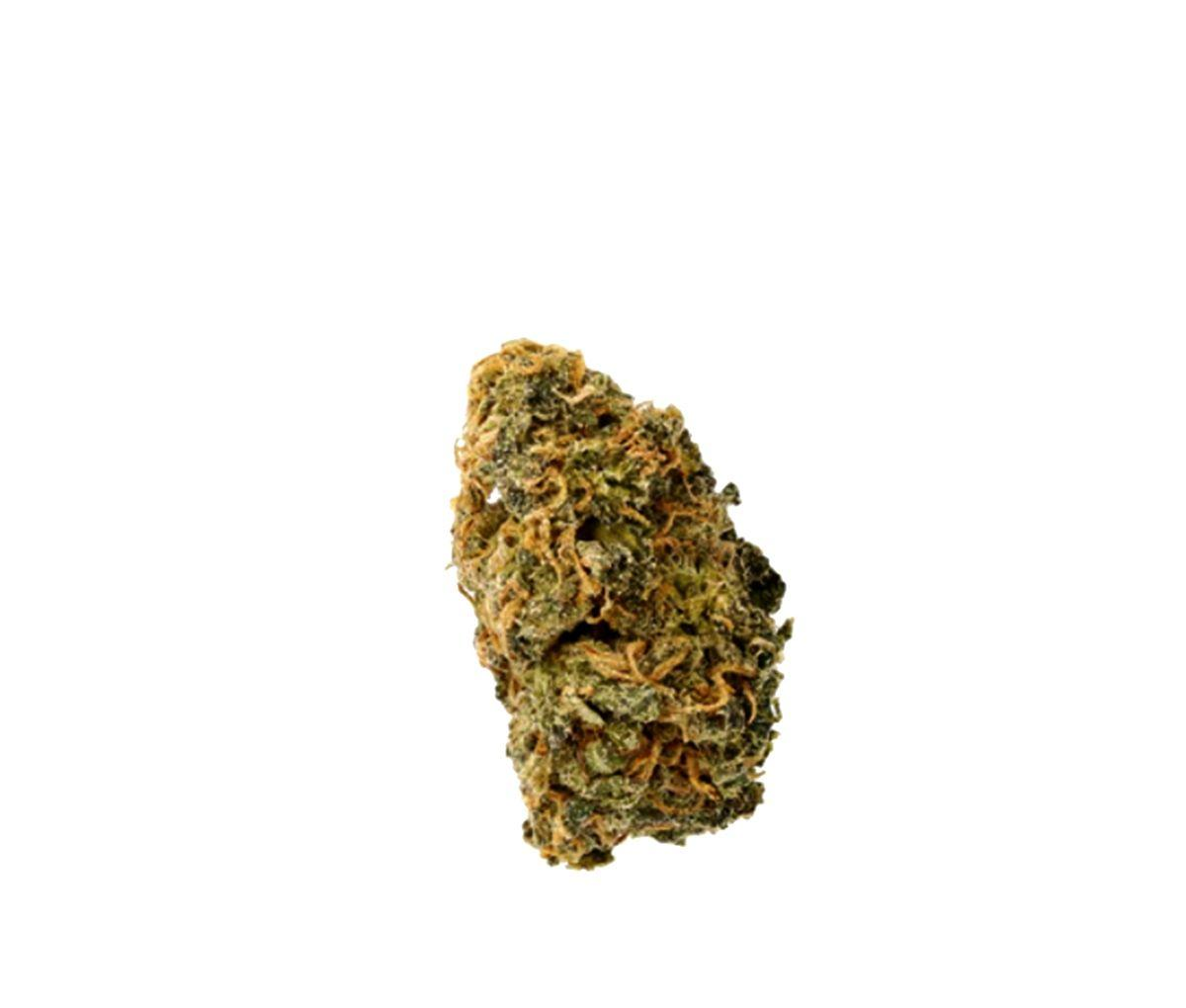 Cannamedical Sativa Forte NM - Gelato Dream Cannamedical Sativa Forte NM - Gelato Dream