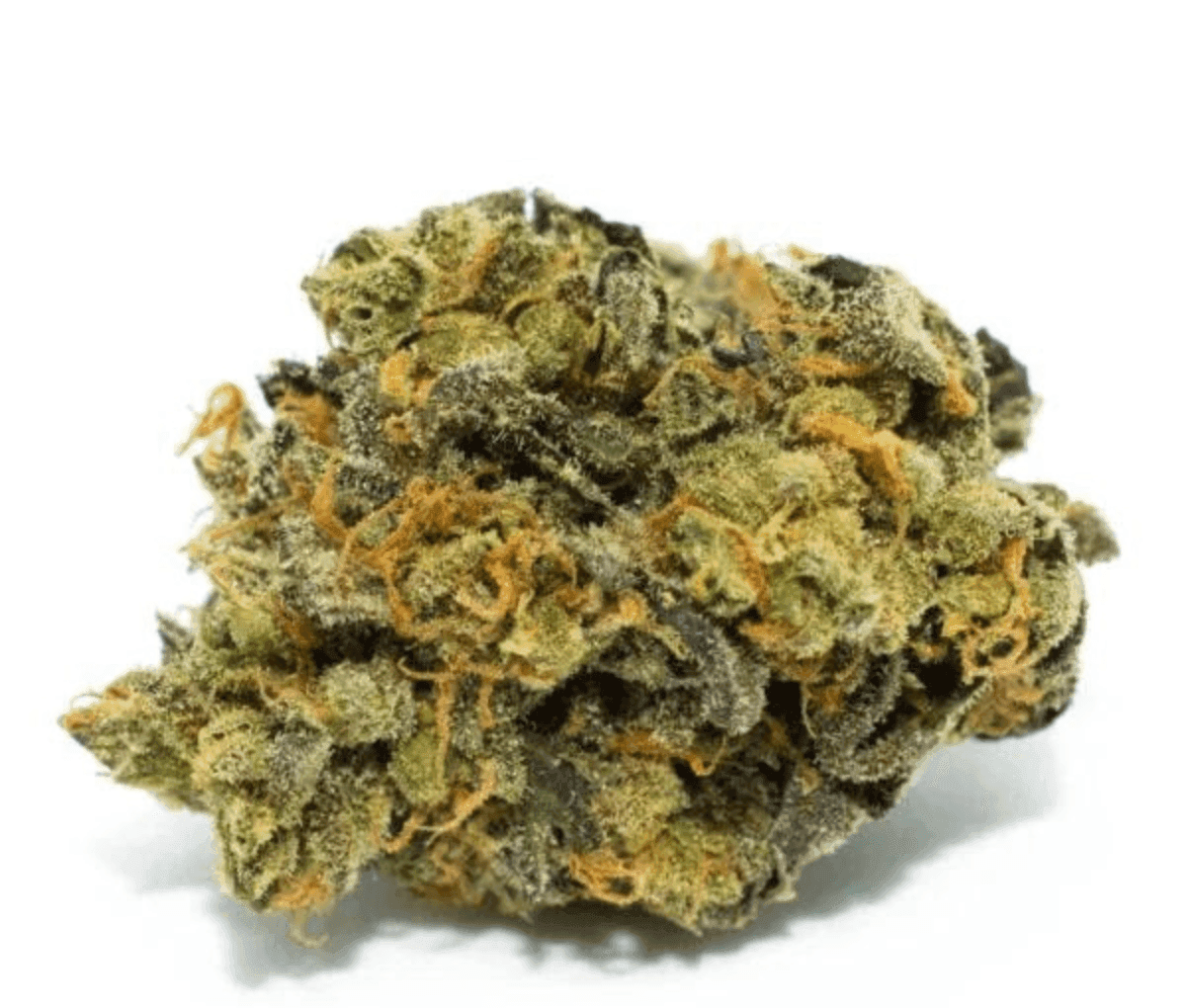 420 Natural 22/1 CA TRP - Tropicana Cookies 420 Natural 22/1 CA TRP - Tropicana Cookies