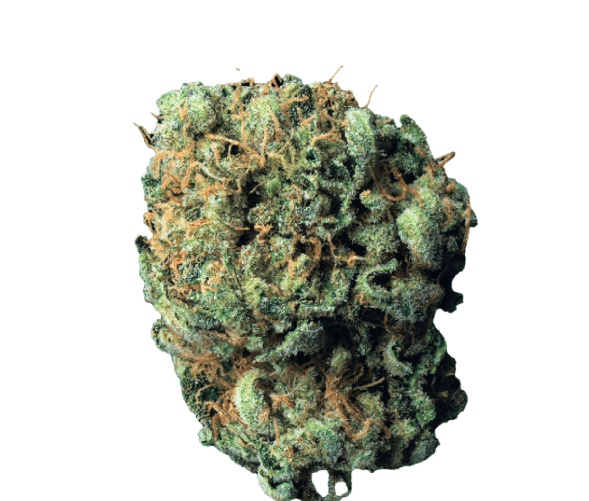 Cookies 22/1 MD - Medellin