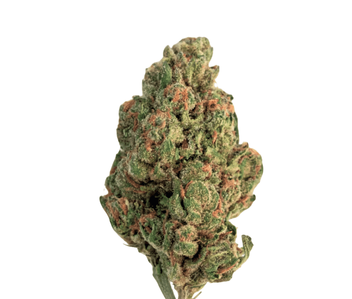 Cannamedical Hybrid Classic 20/1 - Fullgas