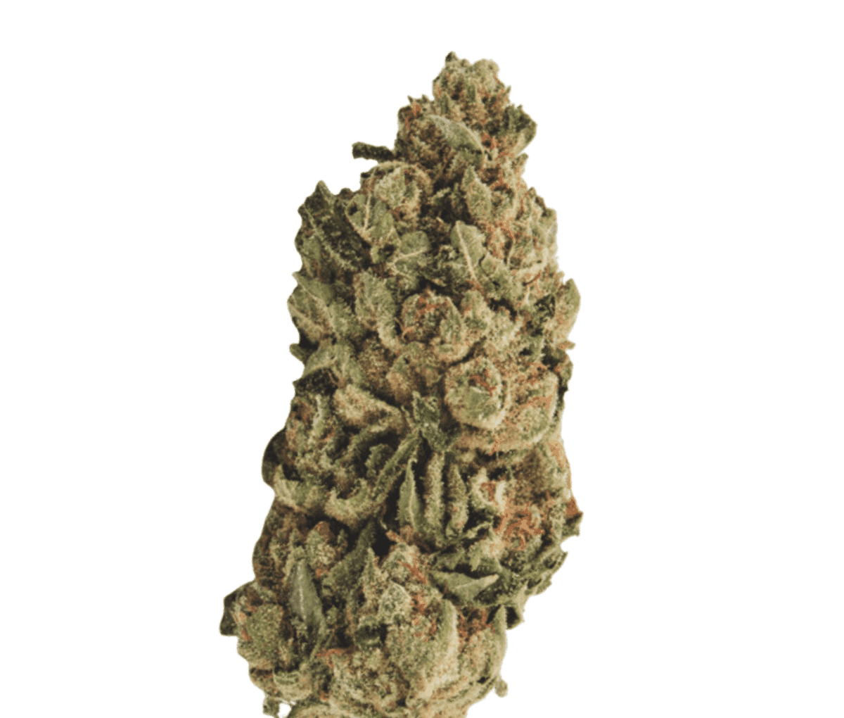 TruHC LL 22 - Legendary Larry