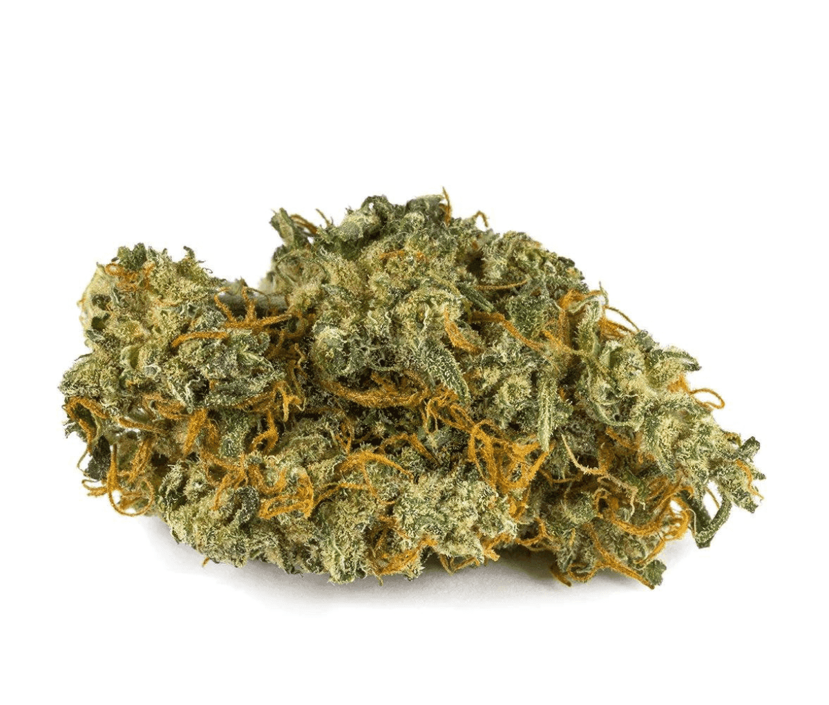 Pedanios 10/10 EQI CA - Equiposa