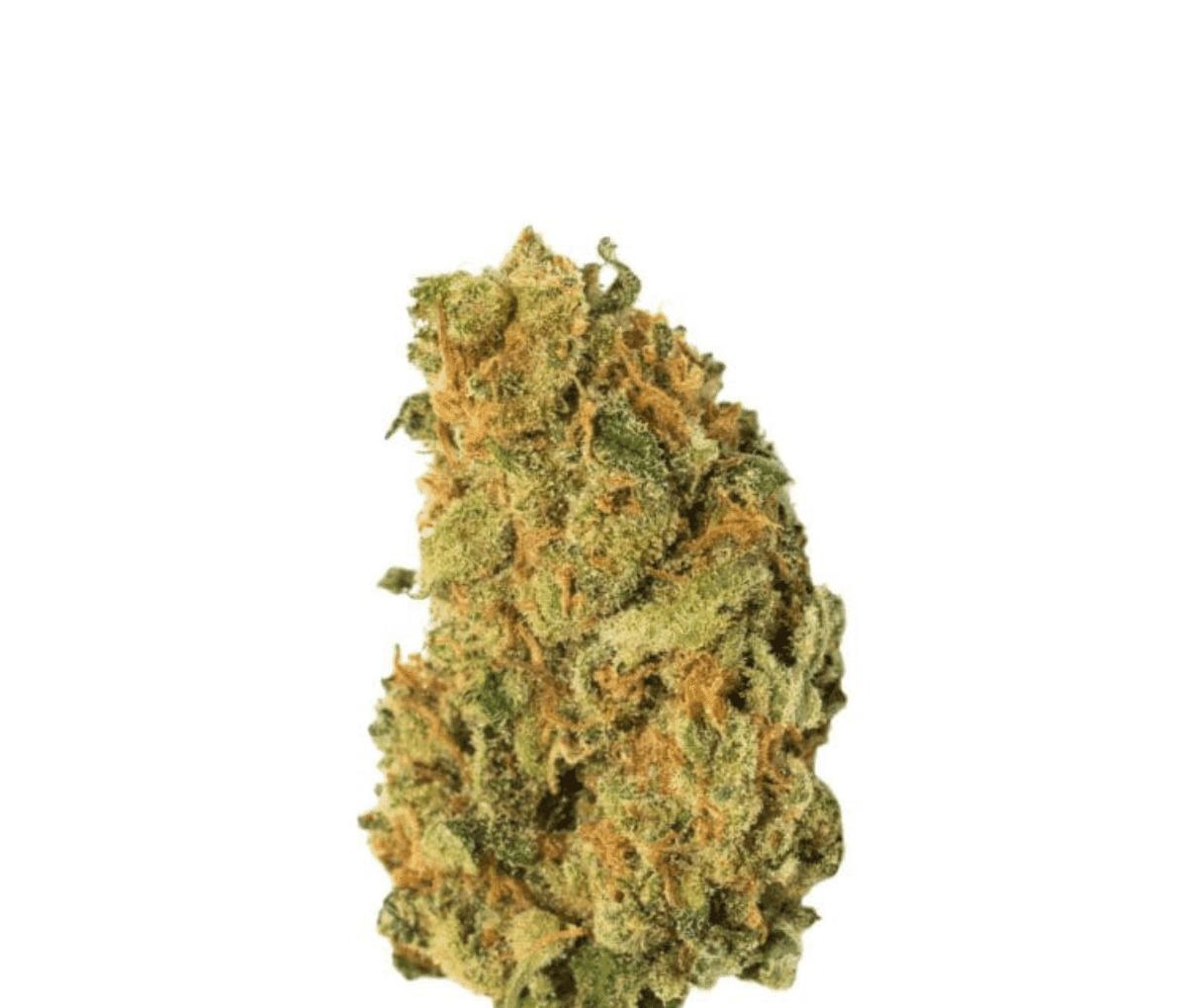 Cannamedical Sativa Forte NM - Amsterdam Amnesia