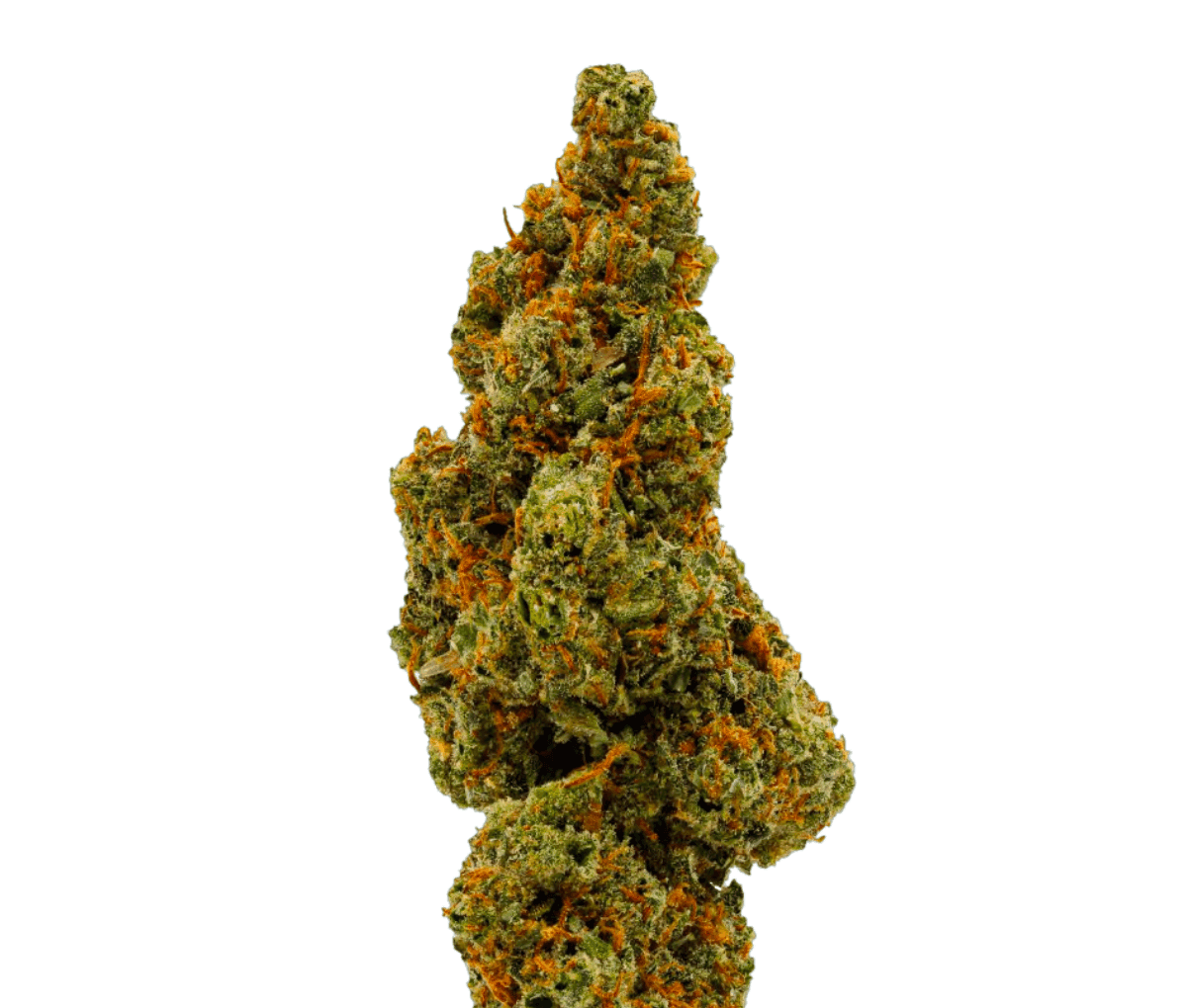 Sinceritas Sativa Verum 24/1 Kush Mintz | Cannazen