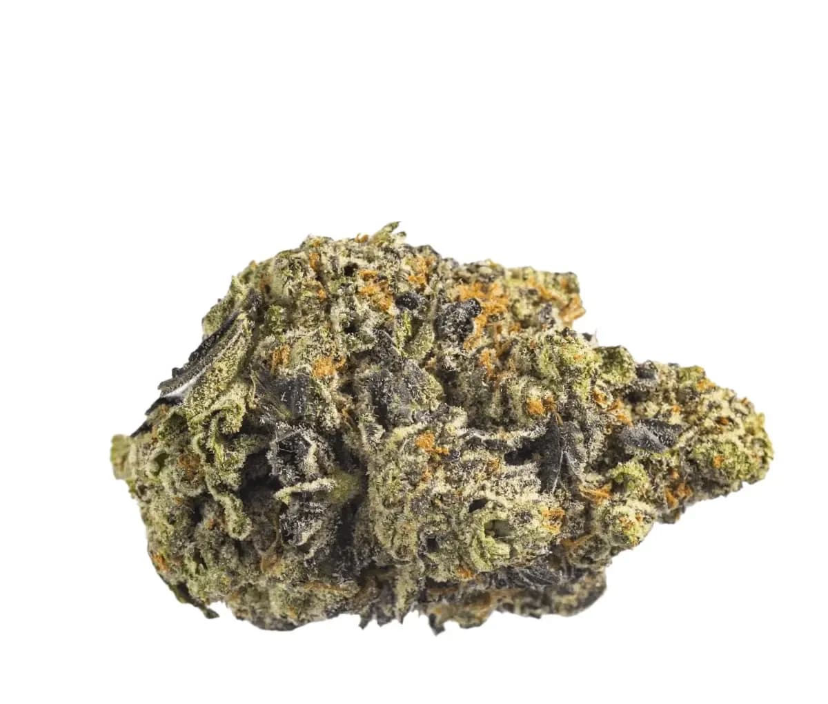 Canopy KMI 30/1 Kush Mints - Kush Mintz