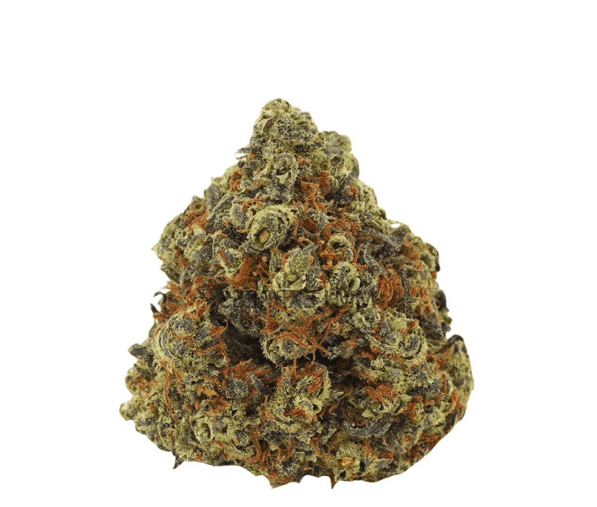 Khiron PA 20/1 - Purple Amnesia Khiron PA 20/1 - Purple Amnesia