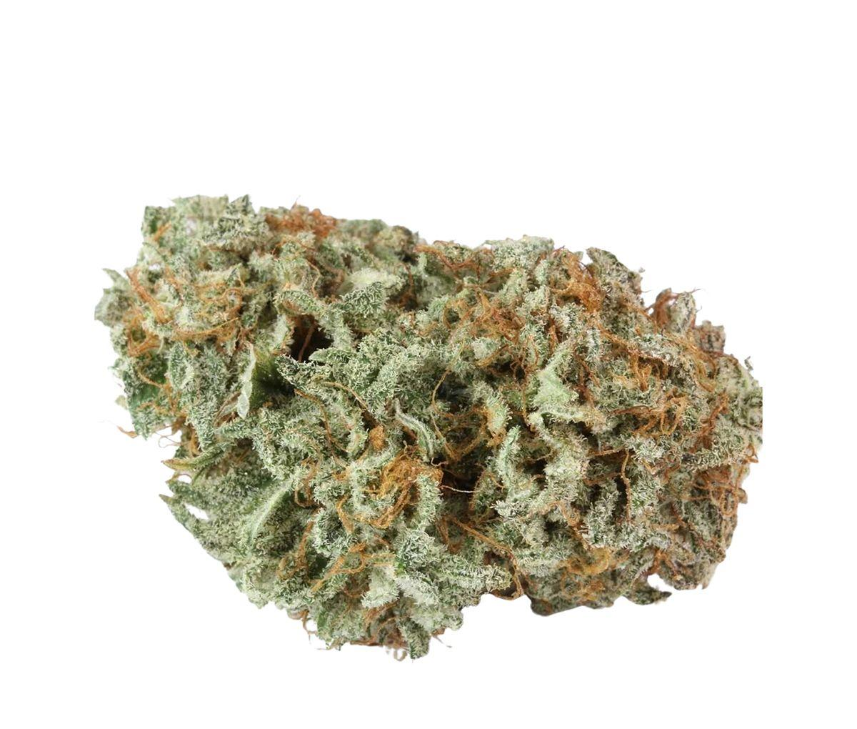 Tilray THC 18 Spotlight Porto - Master Kush