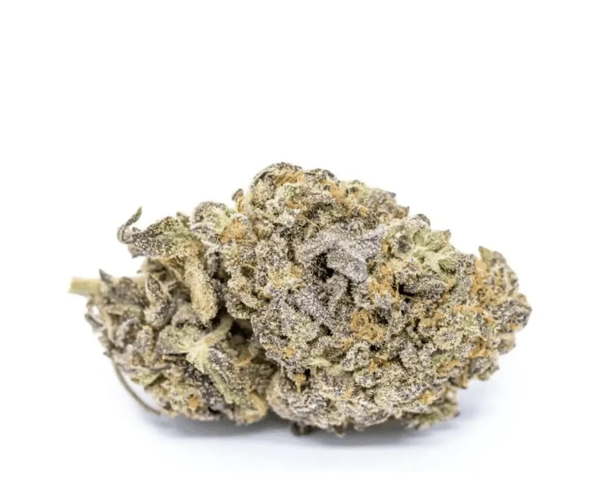 Good Supply Cannabisblüten THC28 SAC - Space Age Cake Good Supply Cannabisblüten THC28 SAC - Space Age Cake