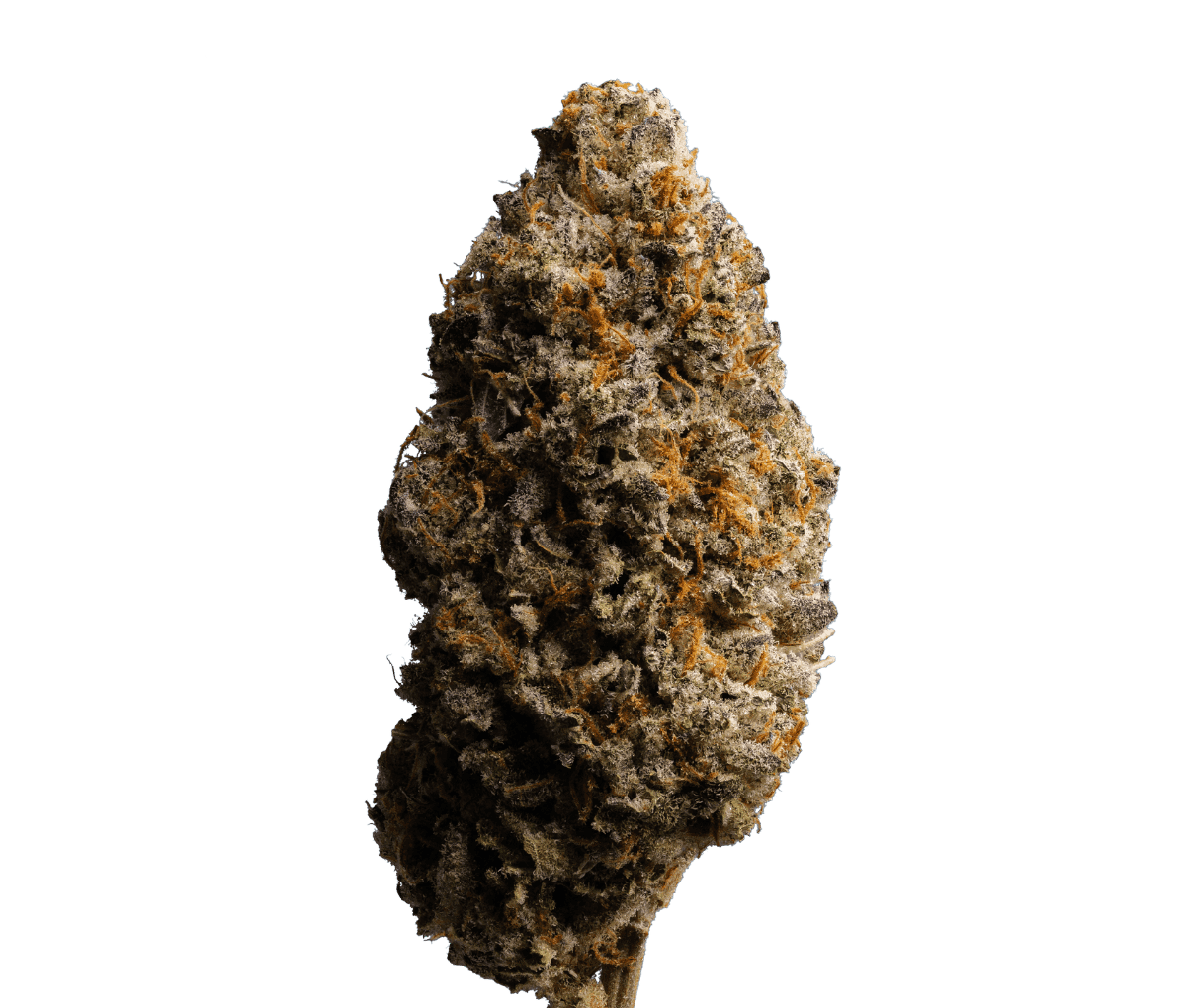 enua 25/1 UDC CA - Upside Down Cake