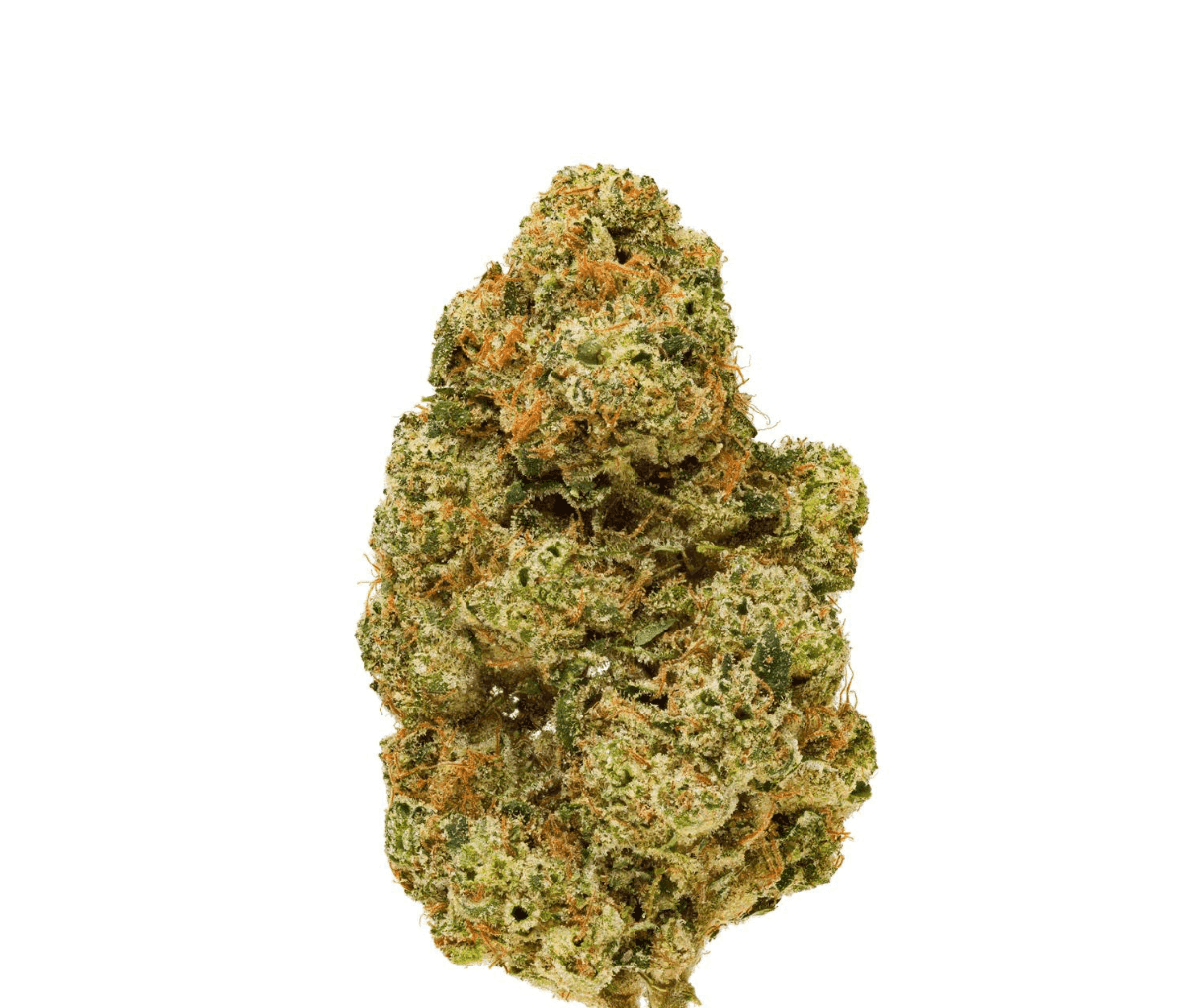 Pedanios 26/1 EHD-CA - Electric Honeydew