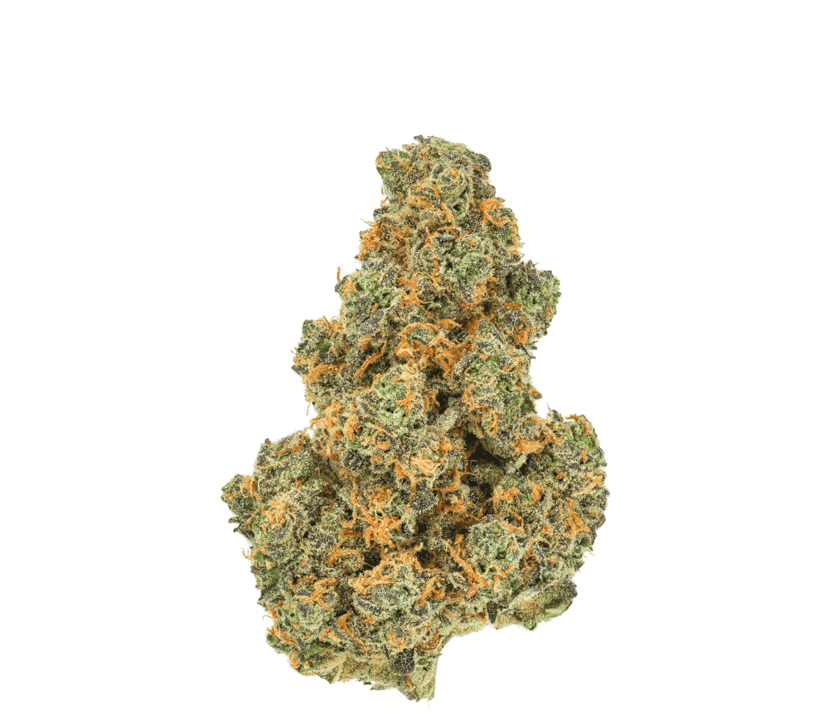 Pedanios 27/1 PND-CA - Pink Diesel