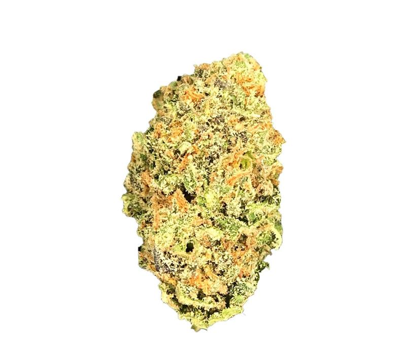Social Choice! 24/1 SEN GTH - Ghost Train Haze