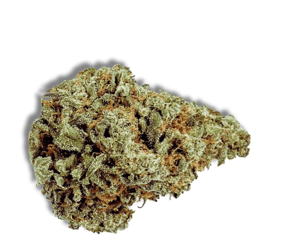 CM 24/1 BRY Strawberry OG CM 24/1 BRY Strawberry OG