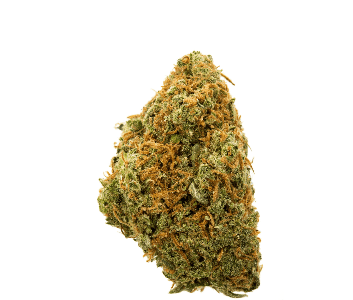 420 Evolution 25/1 CA UNC - Unicorn Cake