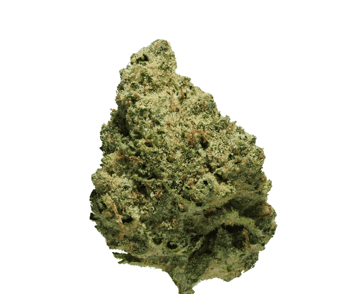 Cannamedical CM 24/1 CRM - Creamy Kee's Cannamedical CM 24/1 CRM - Creamy Kee's