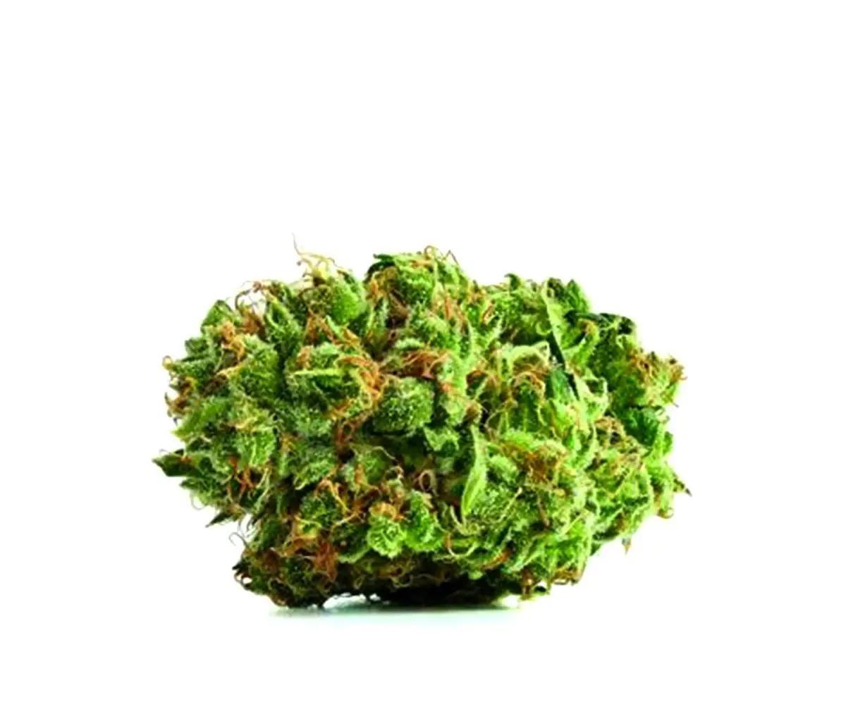 Canopy Bakerstreet 22/1 - Hindu Kush