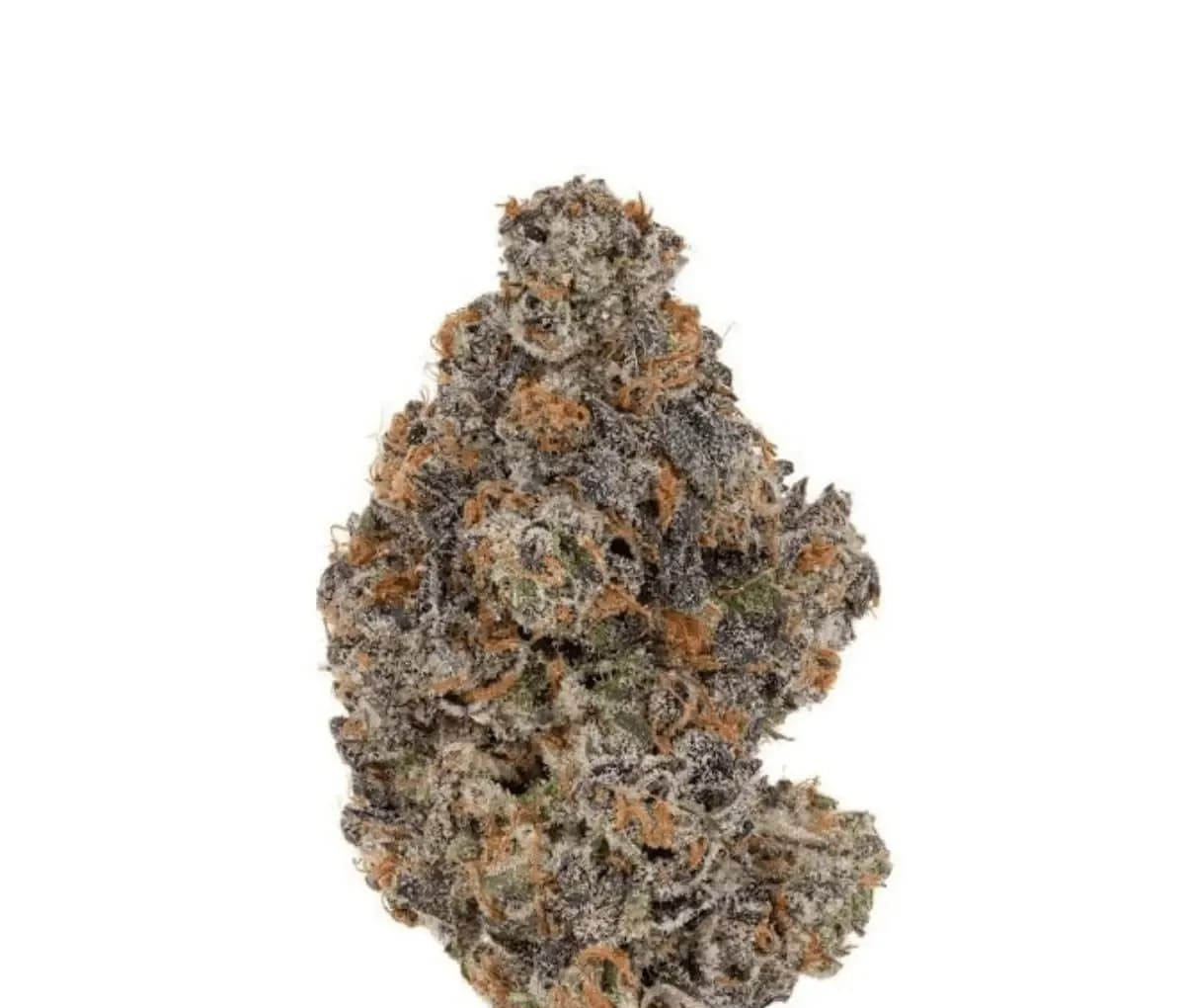 Remexian 25/1 GFR - Godfather OG x Schroll Medical