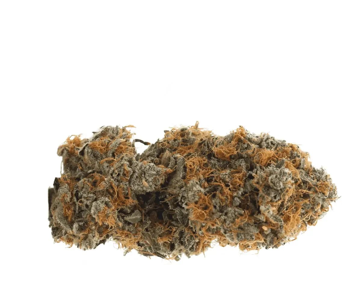 IMC Craft SUS THC26 Super Sativa - Tangelo Boost