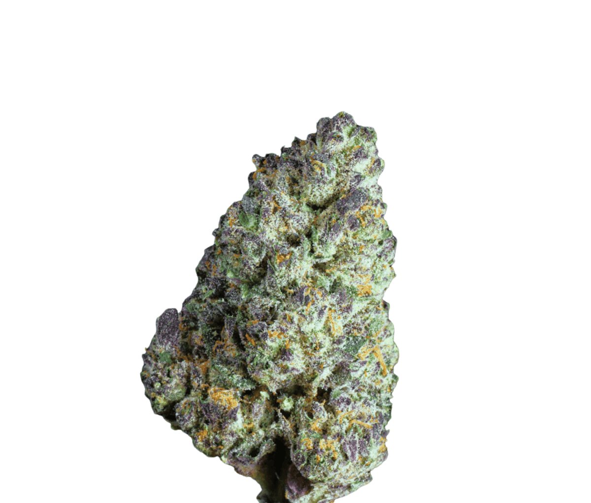 Luana 20/1 Delight - Carnez Citric