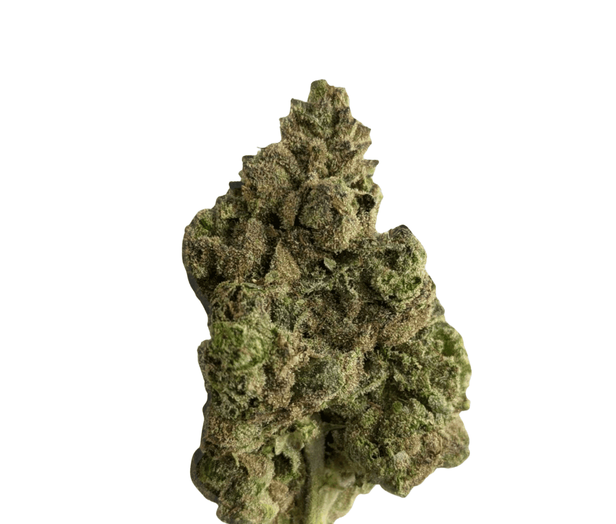 Cannamedical Sativa forte NM Goofiez