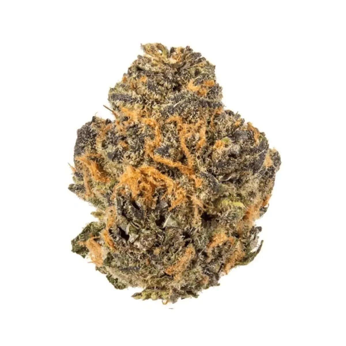 HUALA 25/1 CA GRF - Grape Face | Cannazen HUALA 25/1 CA GRF - Grape Face | Cannazen