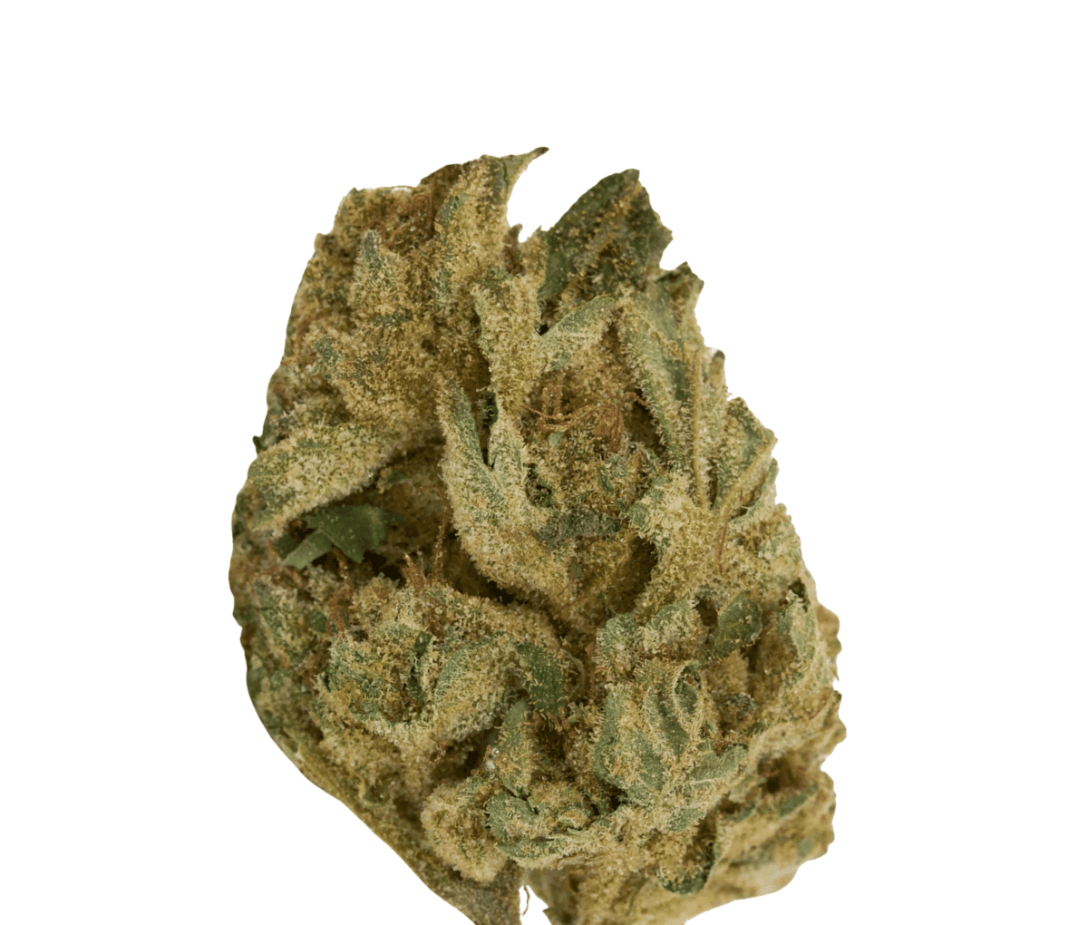 HiSociety 27/1 - Deep Breath HiSociety 27/1 - Deep Breath