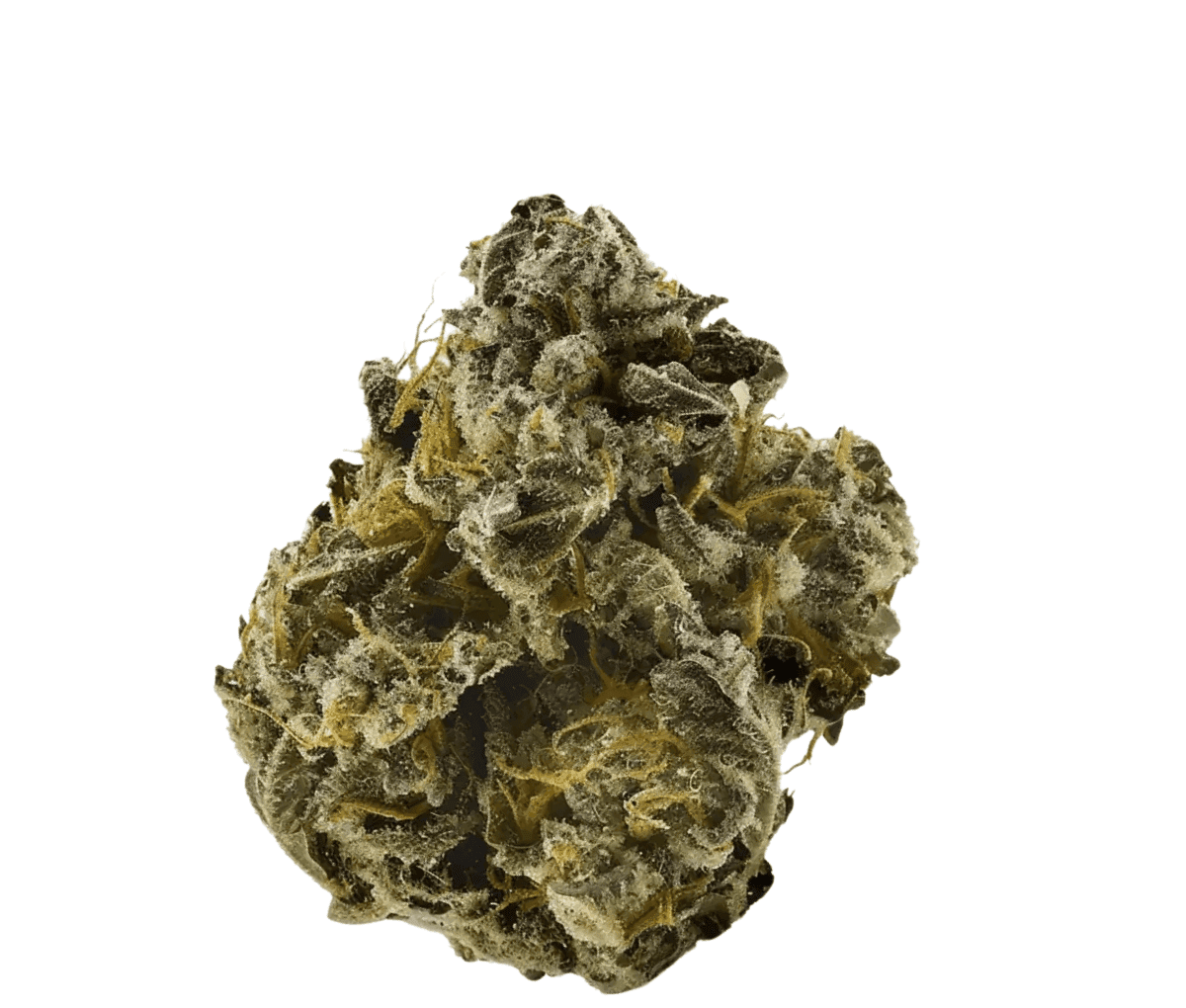 enua 20/1 BNM CA - Banana Mints