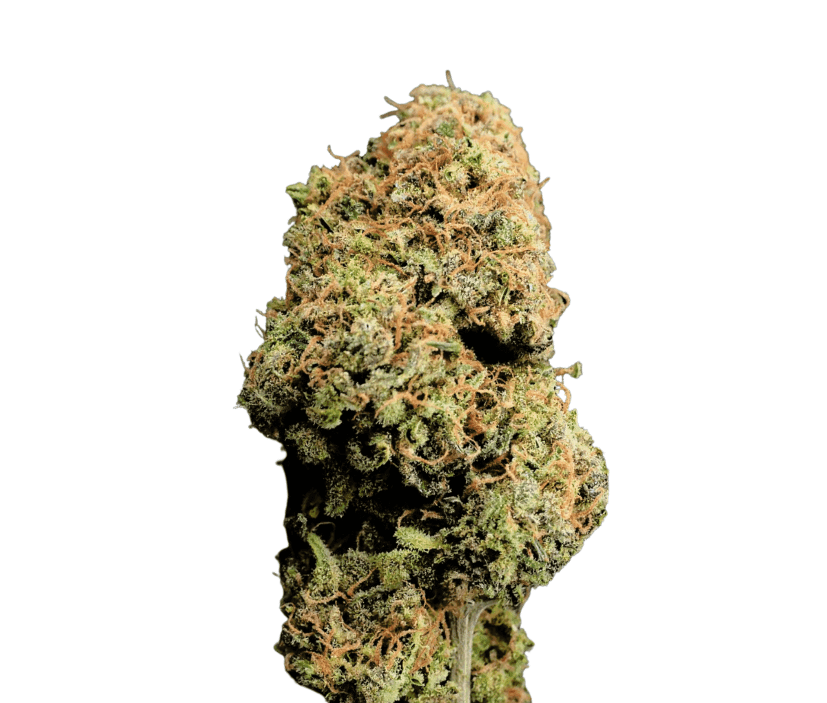 Breezy Organics GGL 20/1 - Green Gelato