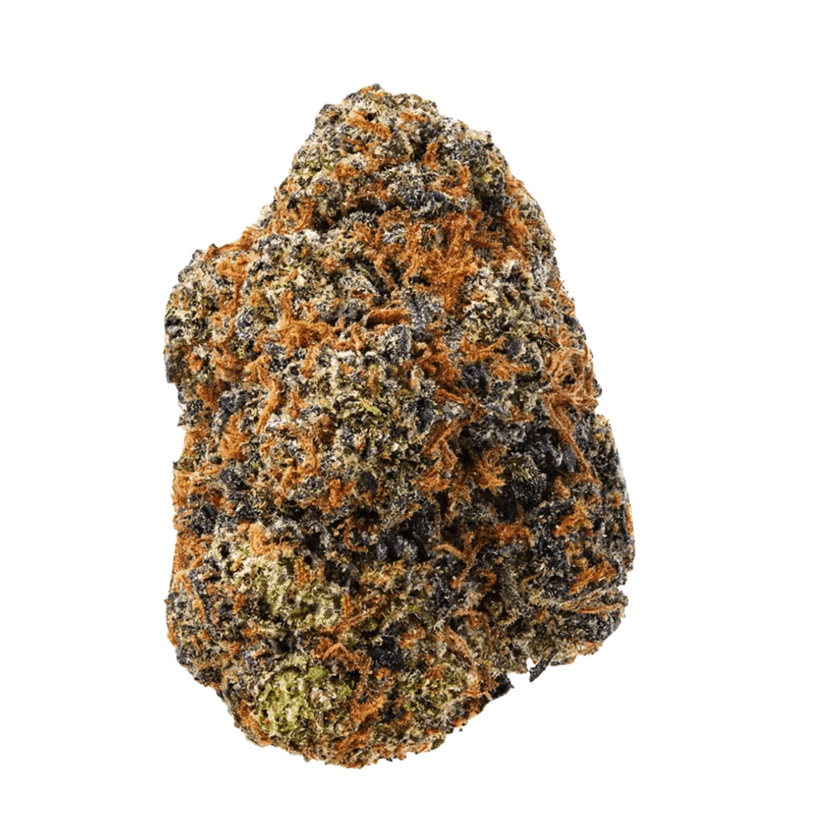Medical Saints 30/1 SRD - Sugar Dream I Cannazen