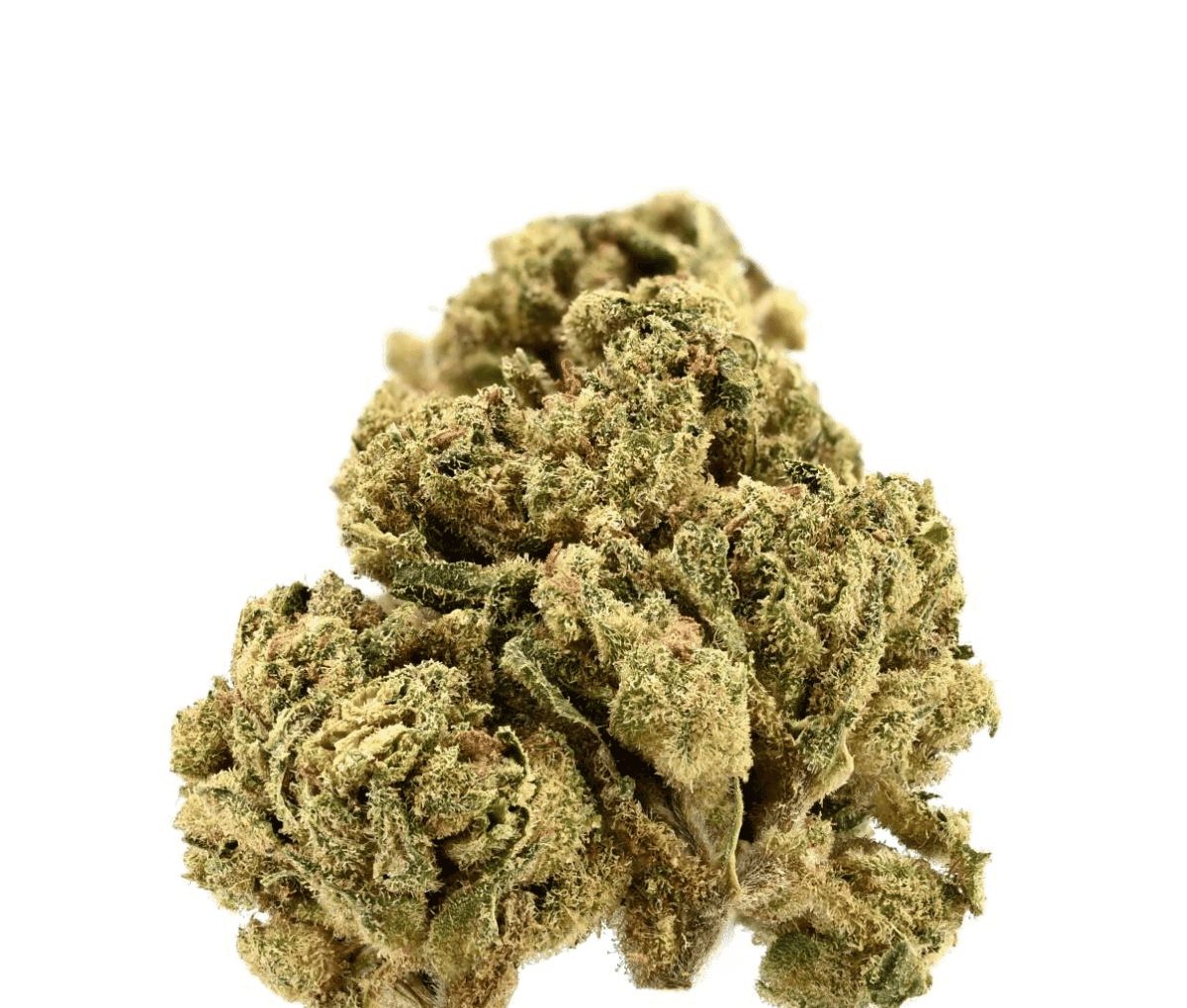 TRUU HS 26:01 - Citron Cookies