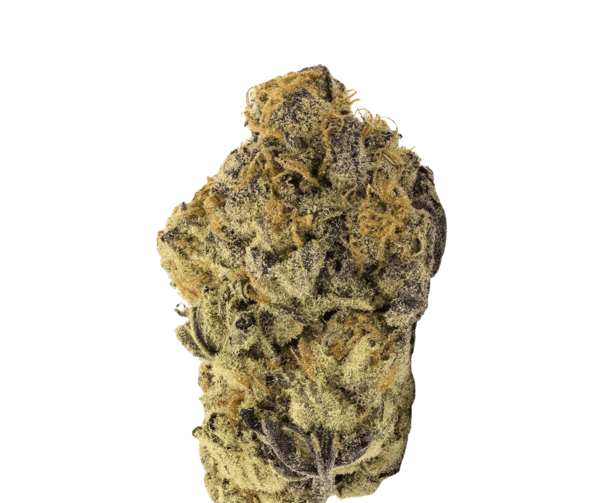 Cannamedical Indica classic ZAF - Black Cherry Punch Cannamedical Indica classic ZAF - Black Cherry Punch