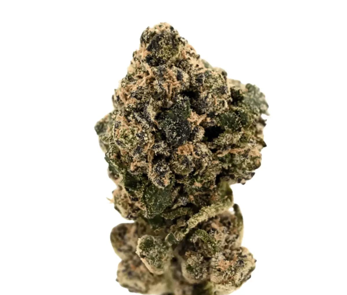 Demecan Core Skywave 21:01 - Sunset Sherbet Demecan Core Skywave 21:01 - Sunset Sherbet