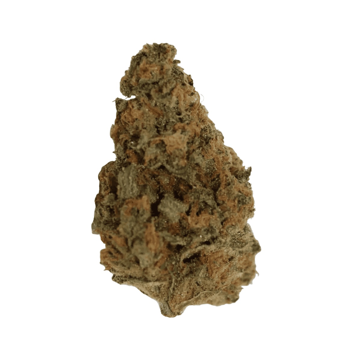 Cannamedical Sativa Forte DK - Super Lemon Haze I Cannazen Cannamedical Sativa Forte DK - Super Lemon Haze I Cannazen