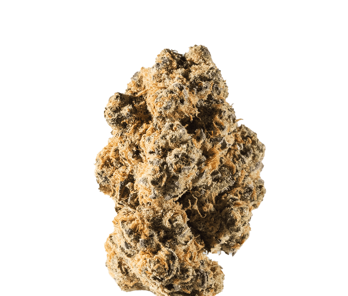 Avaay 24/1 DiD Do-Si-Dos - Do-Si-Dos Avaay 24/1 DiD Do-Si-Dos - Do-Si-Dos