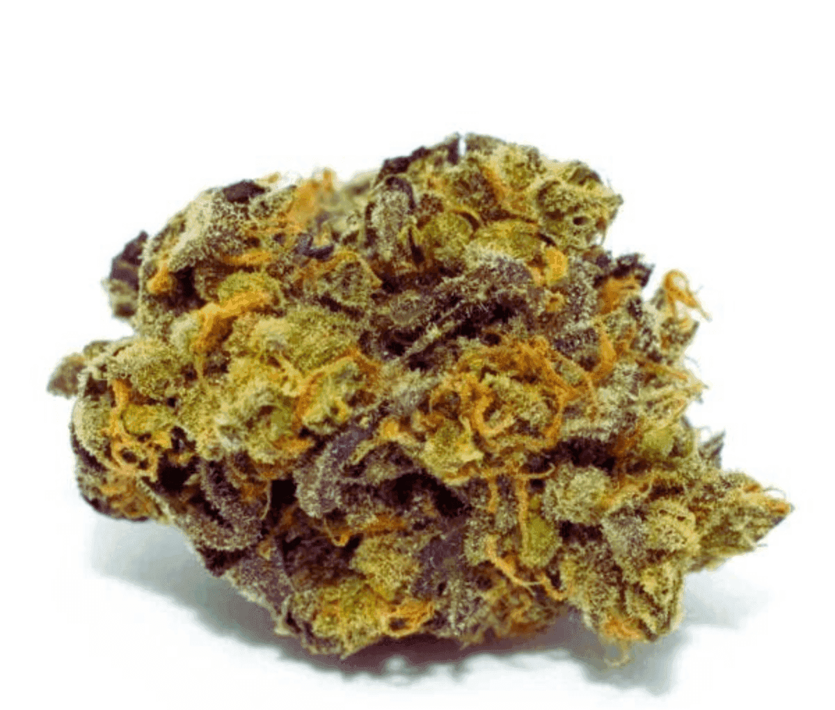 420 Natural 15/1 CA TRP - Tropicana Cookies 420 Natural 15/1 CA TRP - Tropicana Cookies
