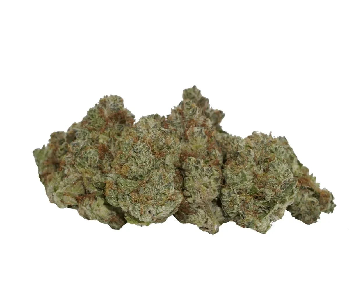 avaay Signature 34/1 OGC - Ocean Grown Cookies