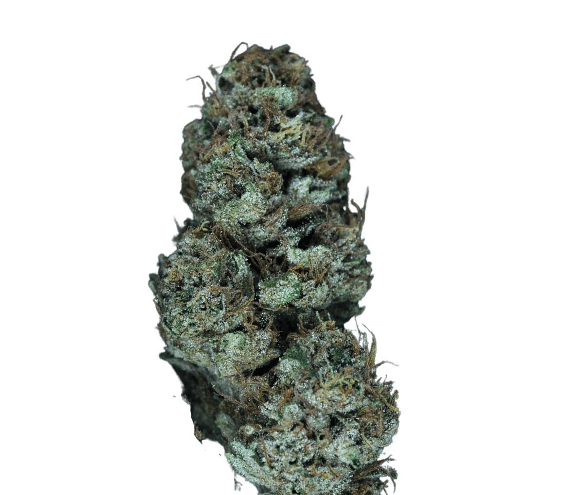 Herbasana Colombiana 20:01