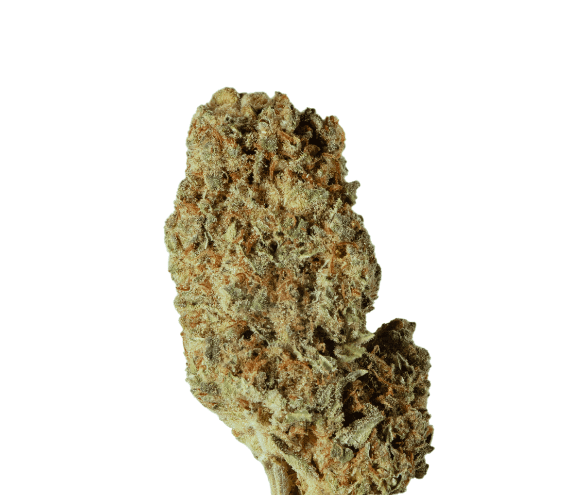 Breezy Organics GGL 25/1 Green Gelato Breezy Organics GGL 25/1 Green Gelato