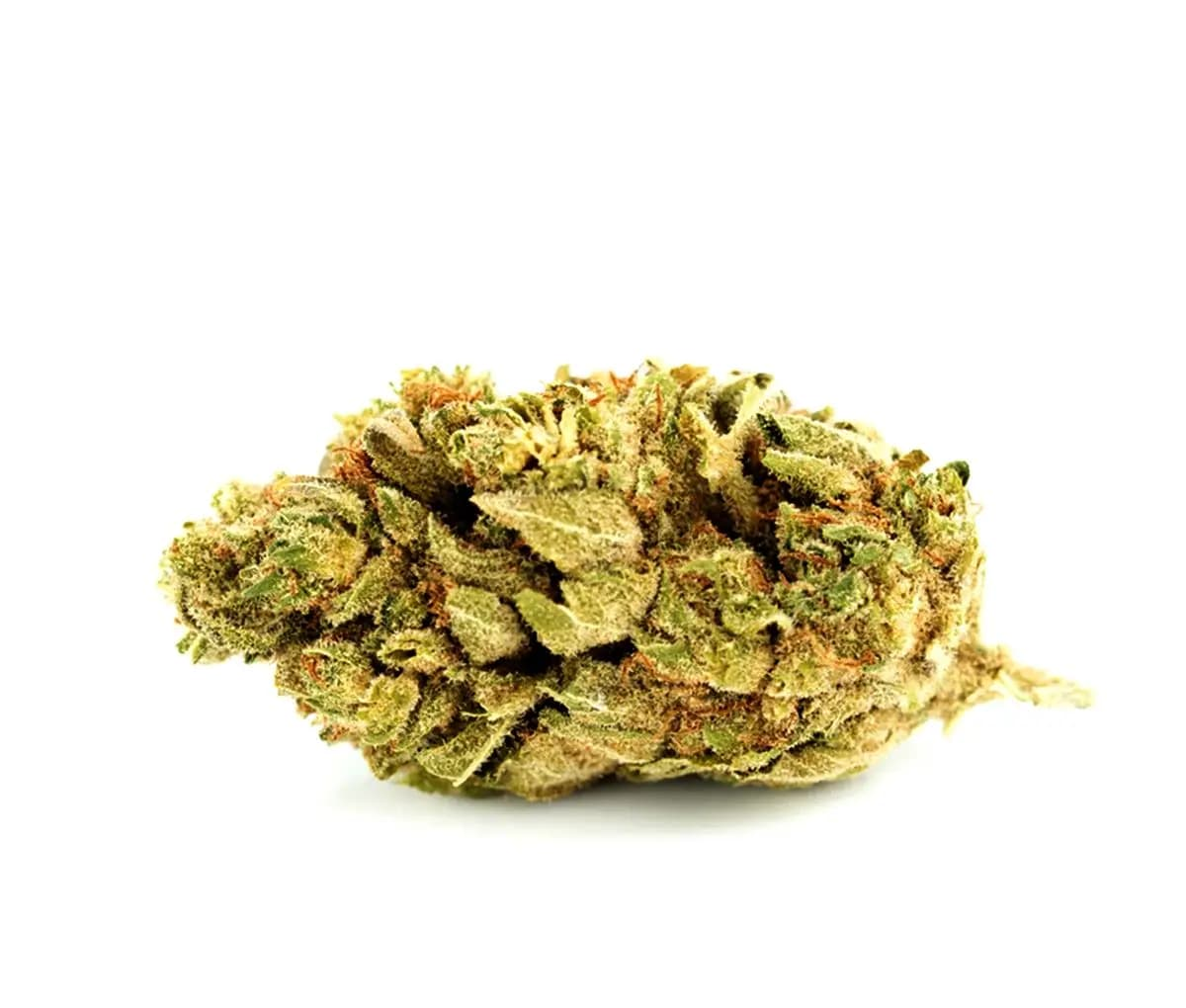 ADREX 24/1 AK COL - Arequipe Kush