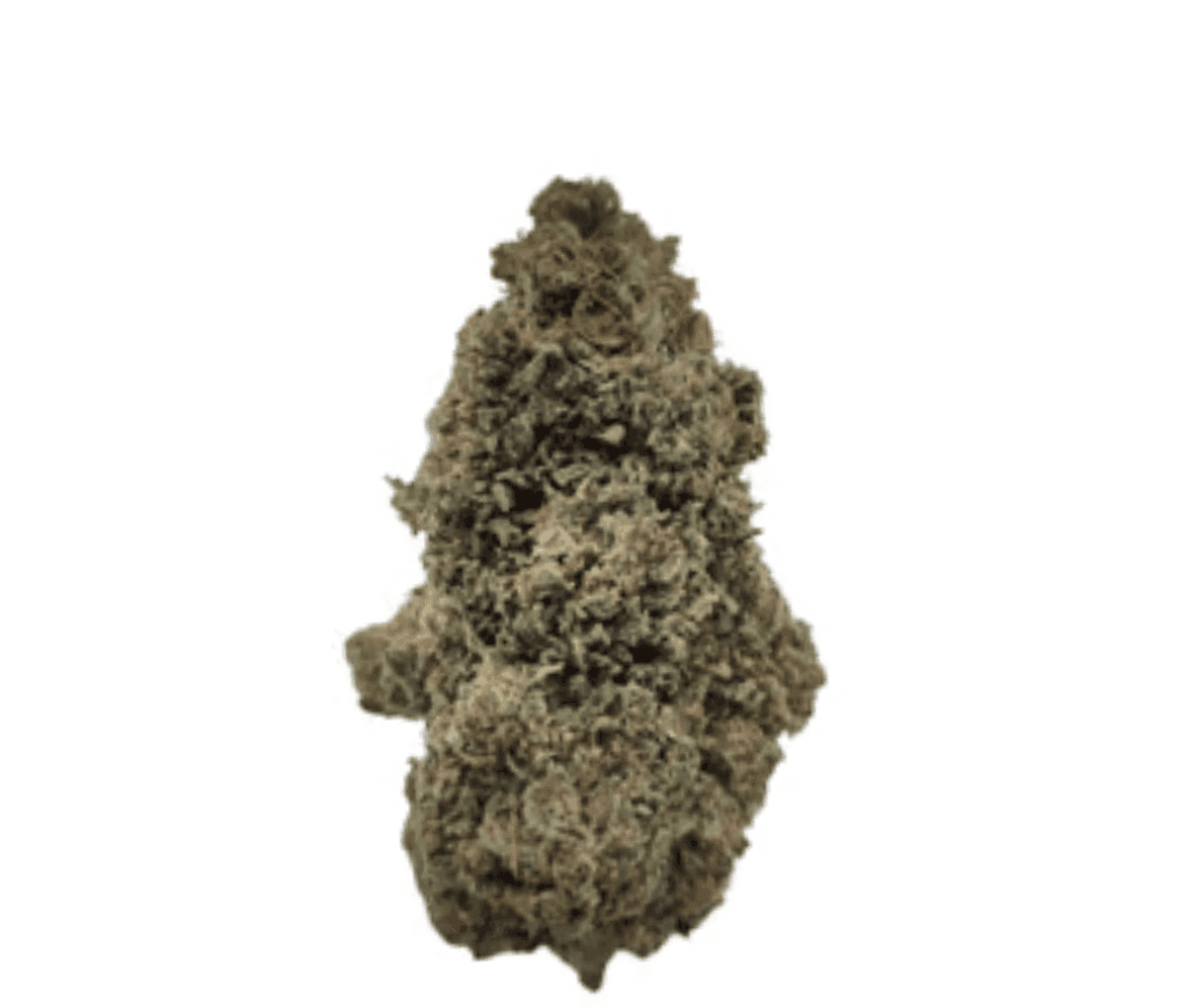 Cannamedical Indica Forte DK - Sky Berry Kush Cannamedical Indica Forte DK - Sky Berry Kush
