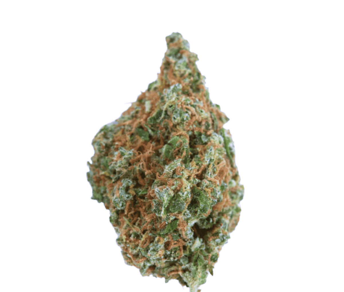 Remexian 27/1 HMA PYW - Peyote Wifi Remexian 27/1 HMA PYW - Peyote Wifi