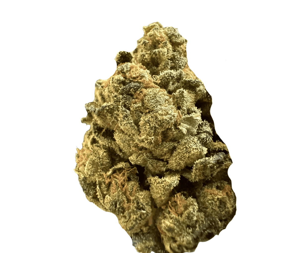 Curaleaf Natural 25/1 PT WPT - Wedding Pop Triangle