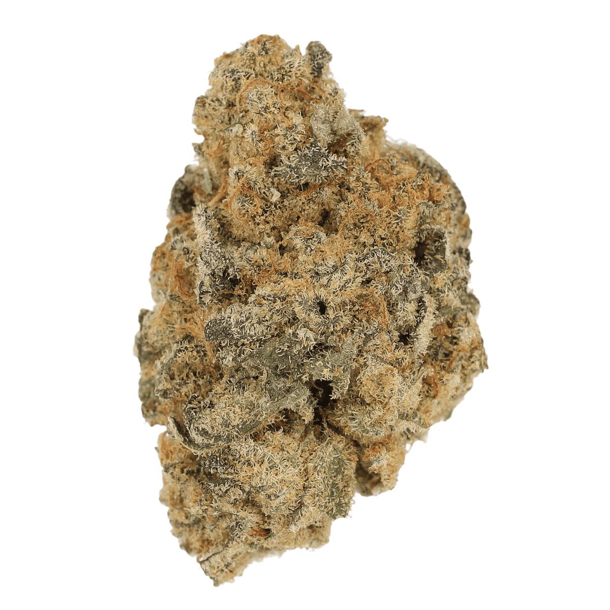 Cannamedical Indica Forte BC - Banana Cream Cake I Cannazen Cannamedical Indica Forte BC - Banana Cream Cake I Cannazen