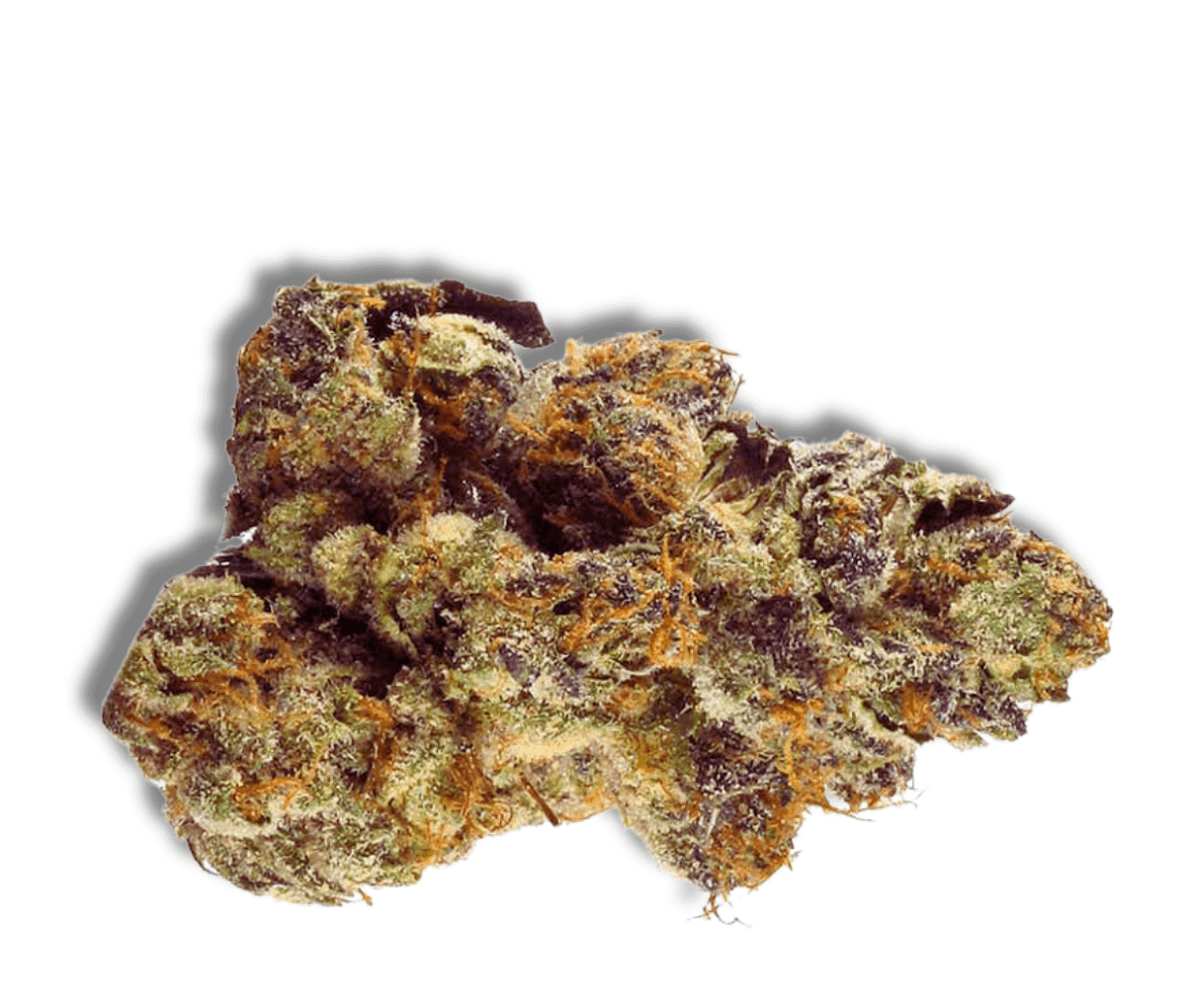 LOT 420 GLT 25 /1 - Gelato33