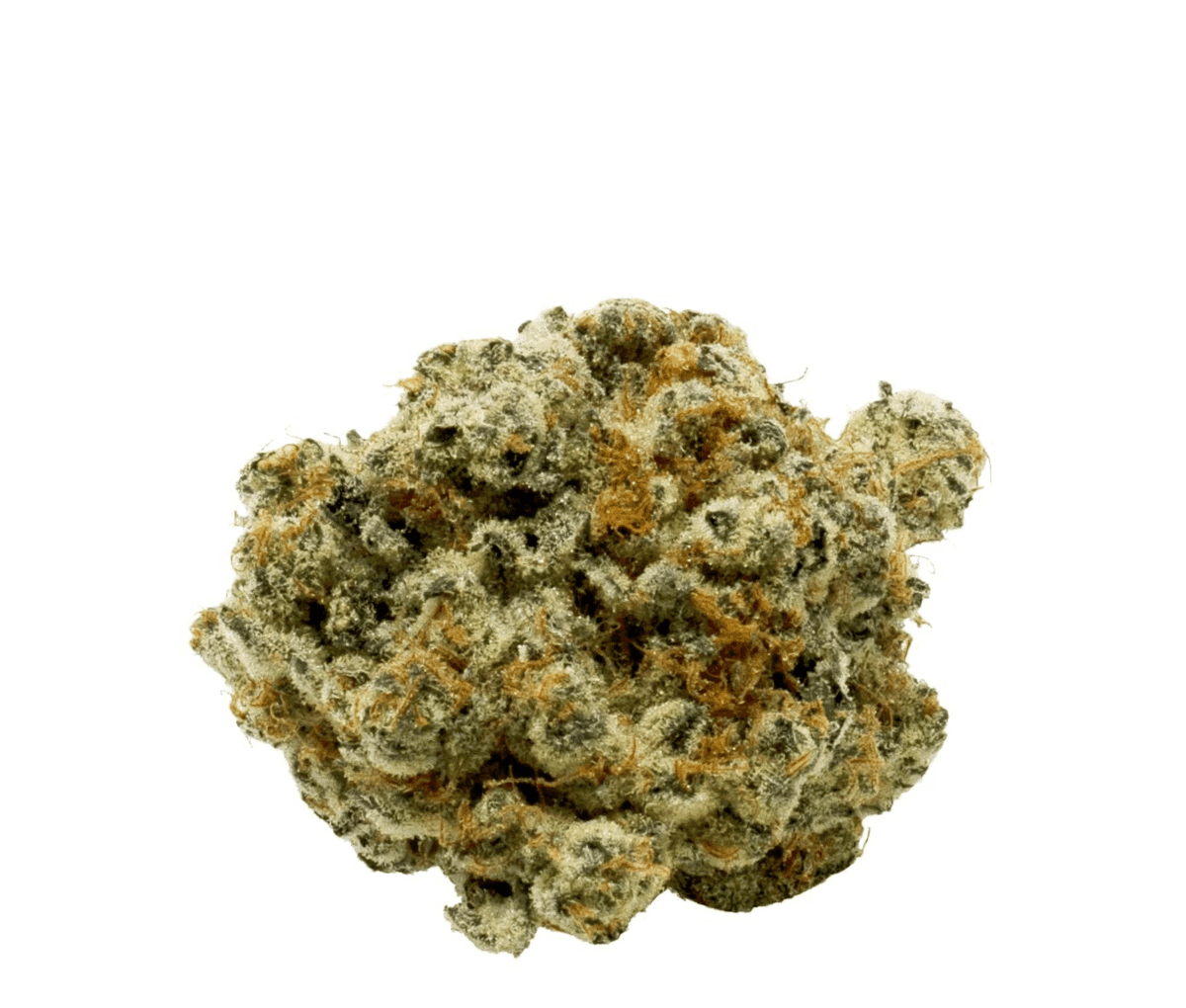 Canopy OGD 25/1 - OG Deluxe Canopy OGD 25/1 - OG Deluxe