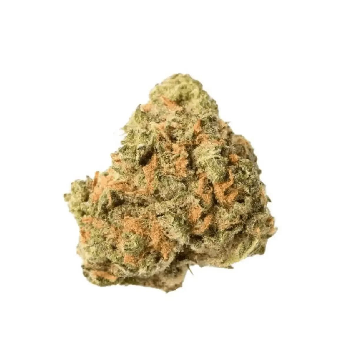 Cannamedical Sativa forte ES - Nova I Cannazen Cannamedical Sativa forte ES - Nova I Cannazen