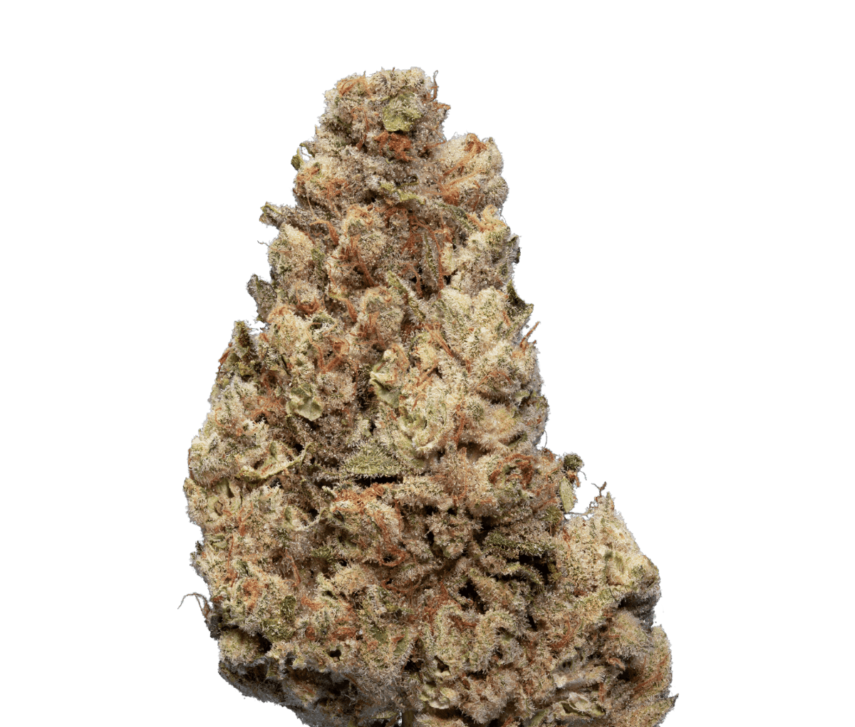 enua 25/1 CCK CA Cold Creek Kush