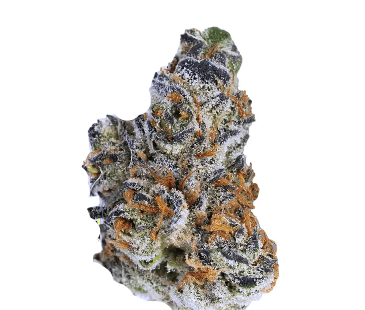 Remexian 33/1 CRN GRB - Garlic Breath Remexian 33/1 CRN GRB - Garlic Breath