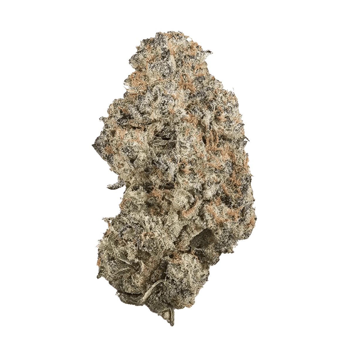 DrWatson 26 Flash AUS - Jack Flash 5 I Cannazen