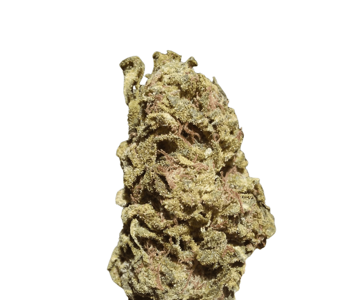 Good Supply Cannabisblüten THC22 SNL - Snow Leopard Good Supply Cannabisblüten THC22 SNL - Snow Leopard
